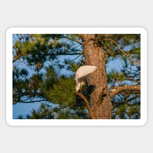 Great egret Sticker